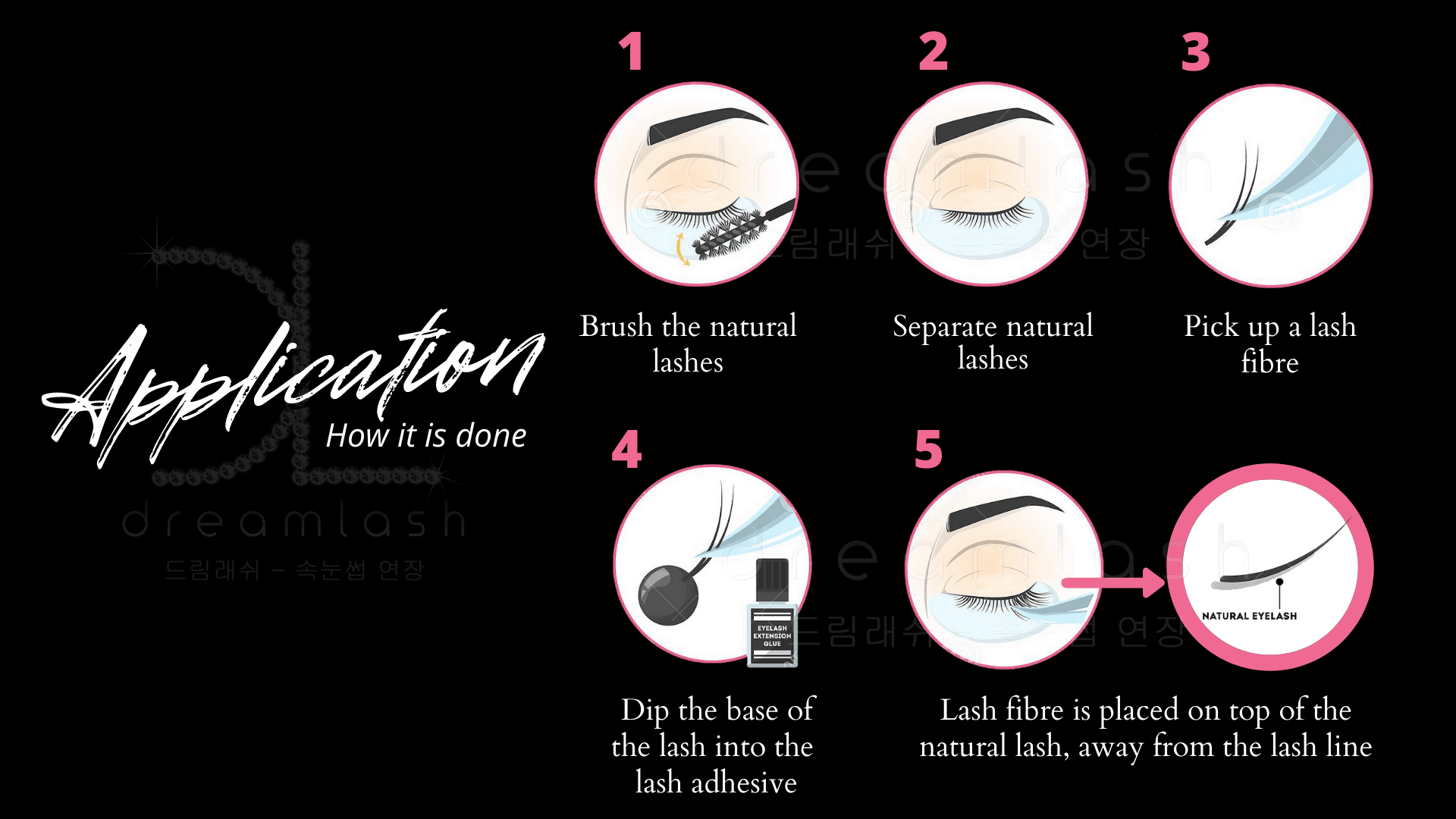 Eyelash Application Guide